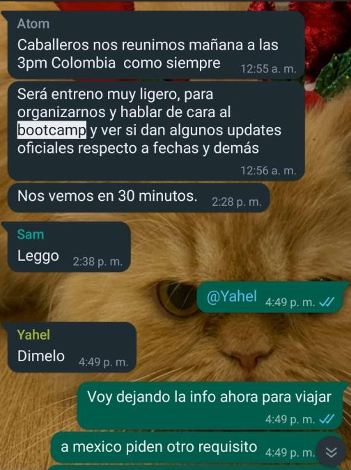 Screenshot showing part of a What's App conversation between BandiCoot and E-XOLOS LAZER