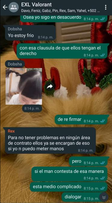 Screenshot showing part of a What's App conversation between BandiCoot and E-XOLOS LAZER