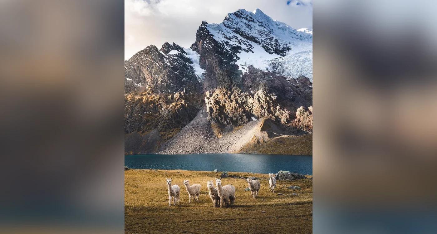 Salkantay Trek Clásico a Machu Picchu 5 Días / 4 Noches (Domos de Montaña)