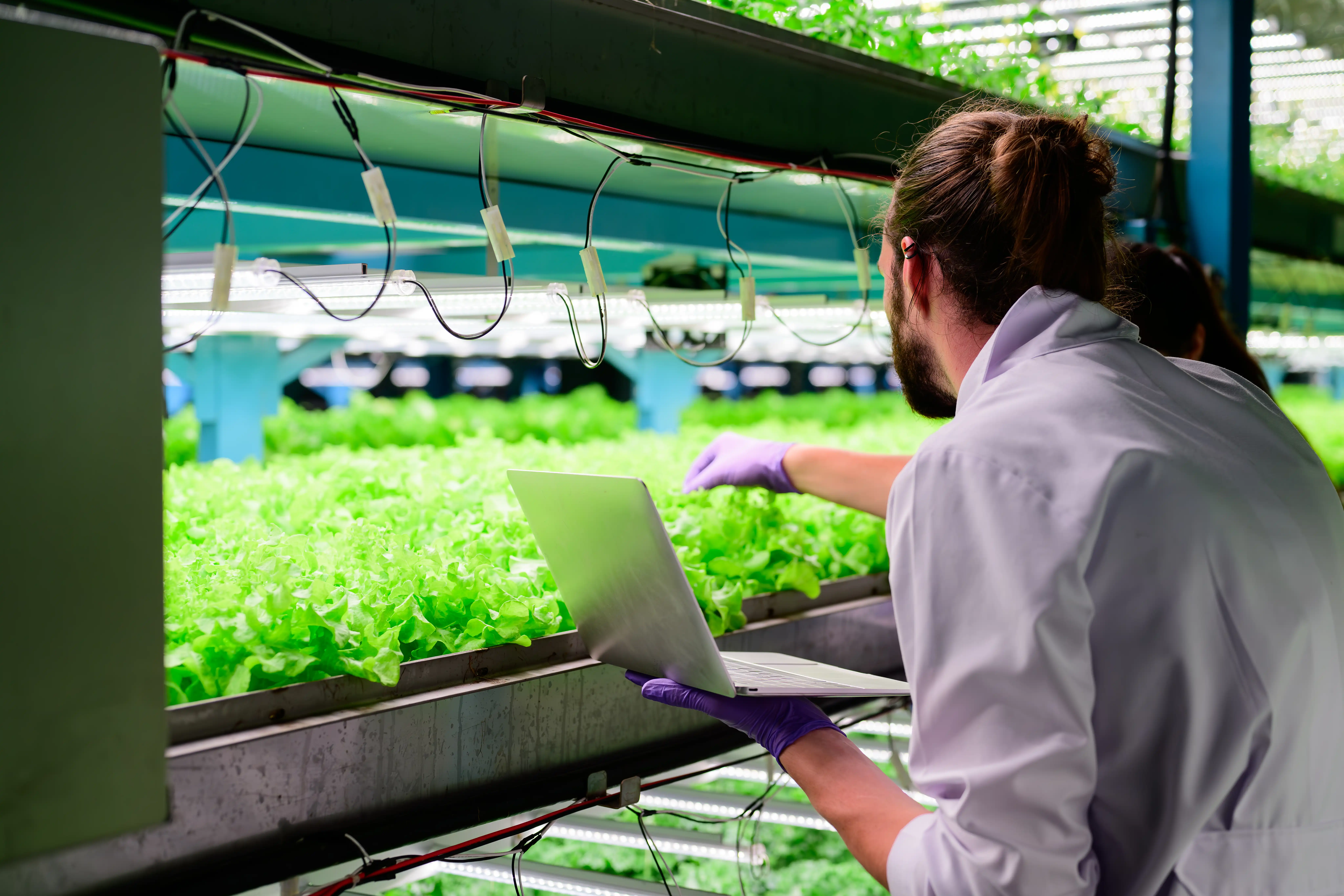 scientists working on agriculture