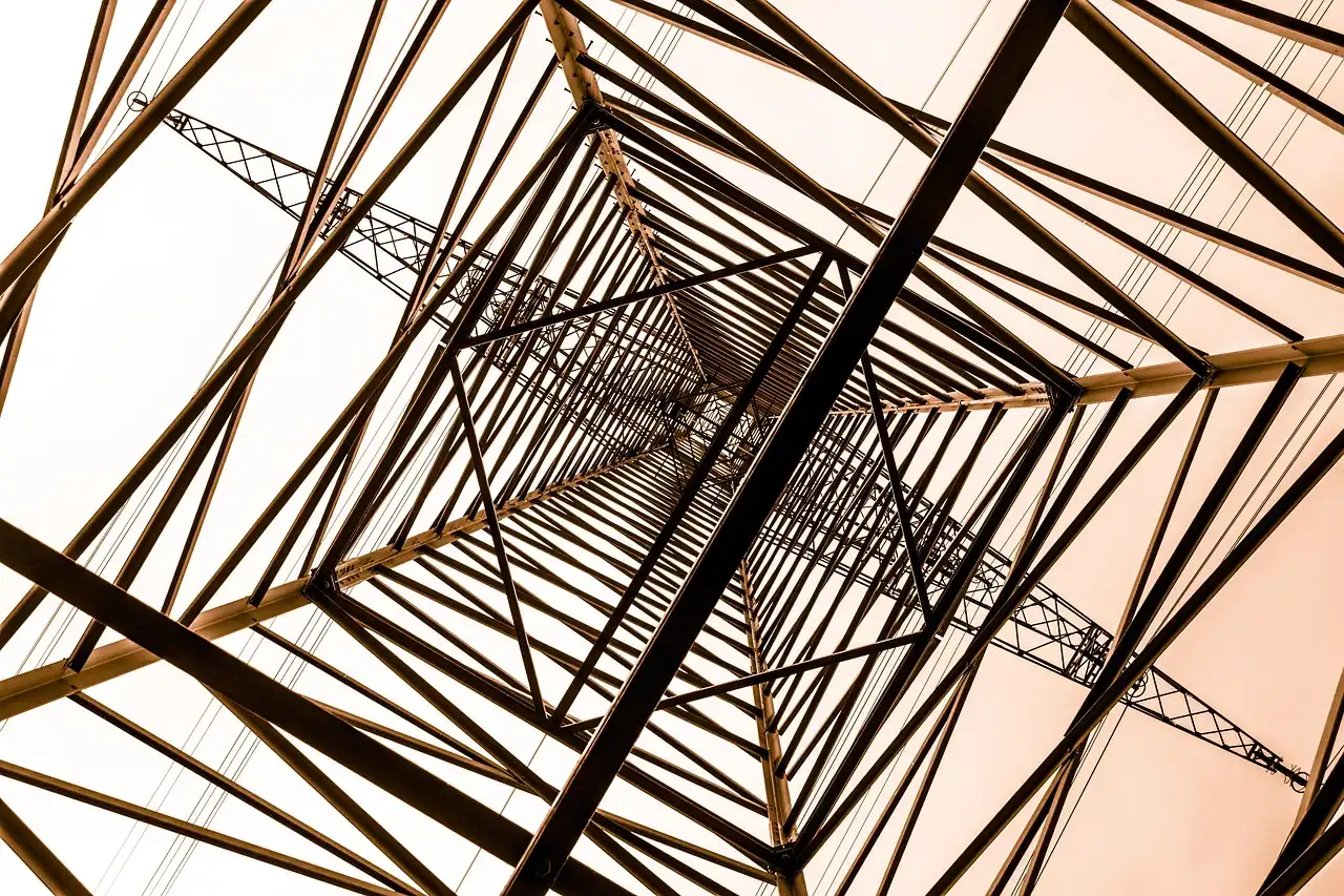 Architectural Options for Sustainable Software Delivery