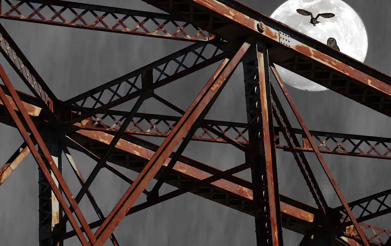 Architectural Options for Sustainable Software Delivery
