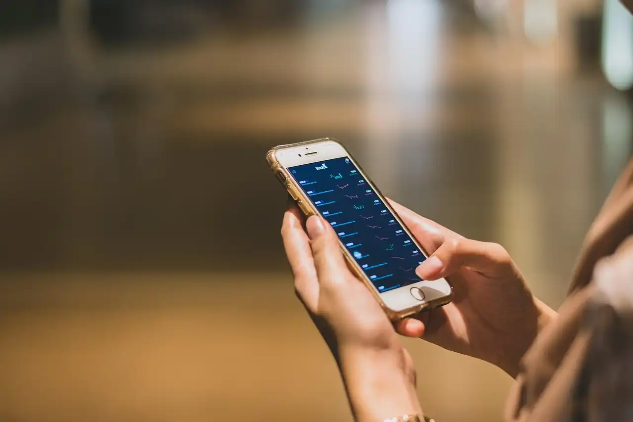 Mobile fintech in use