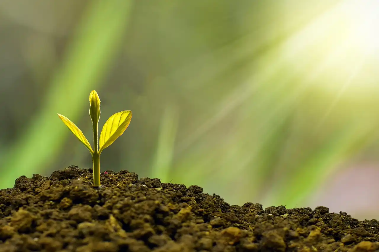 Aligning Cybersecurity with Business Goals