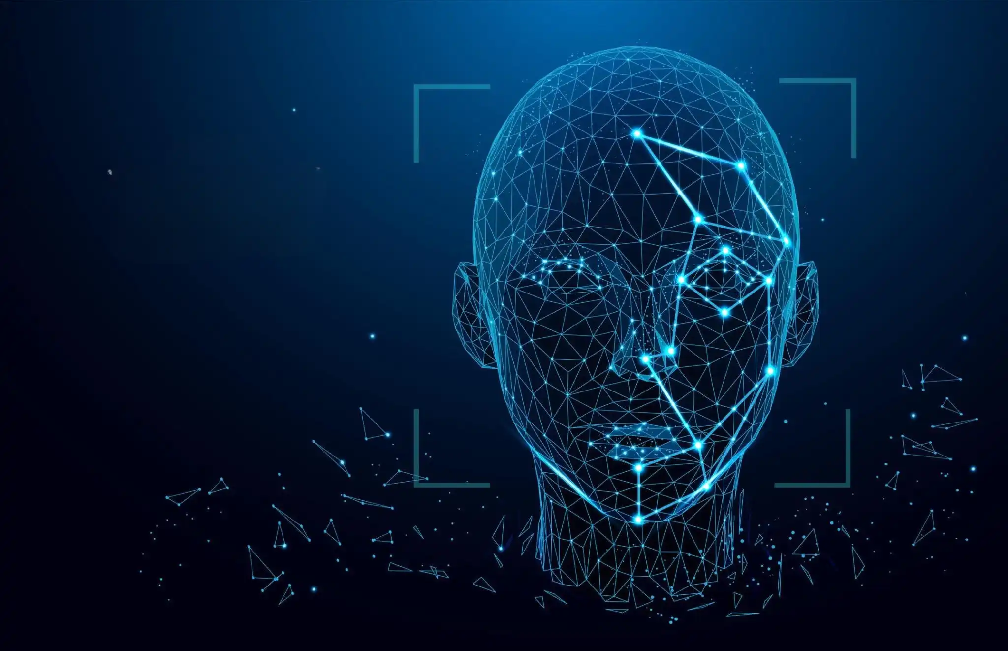 3D wireframe human head