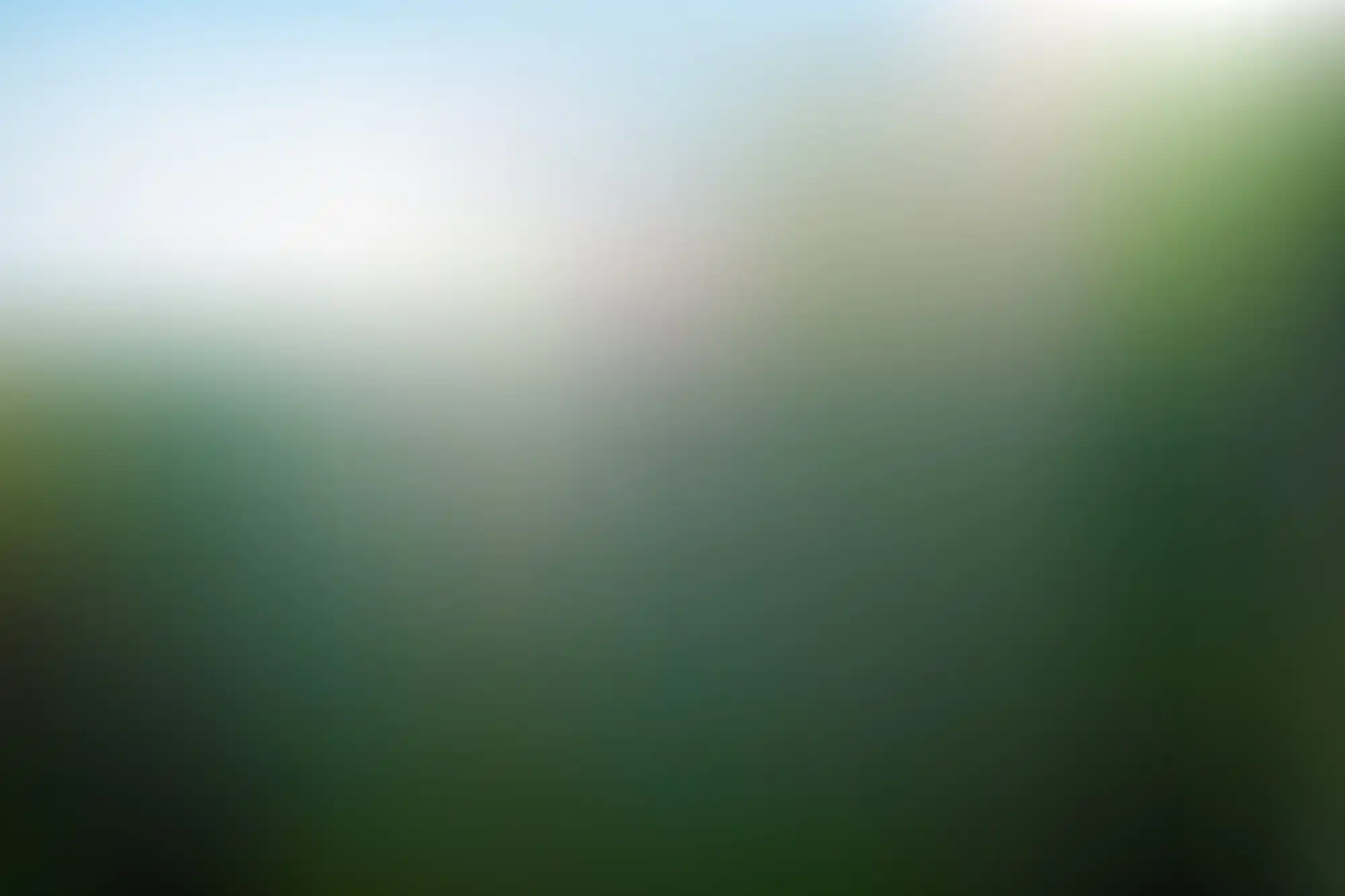 Gradient green tones background