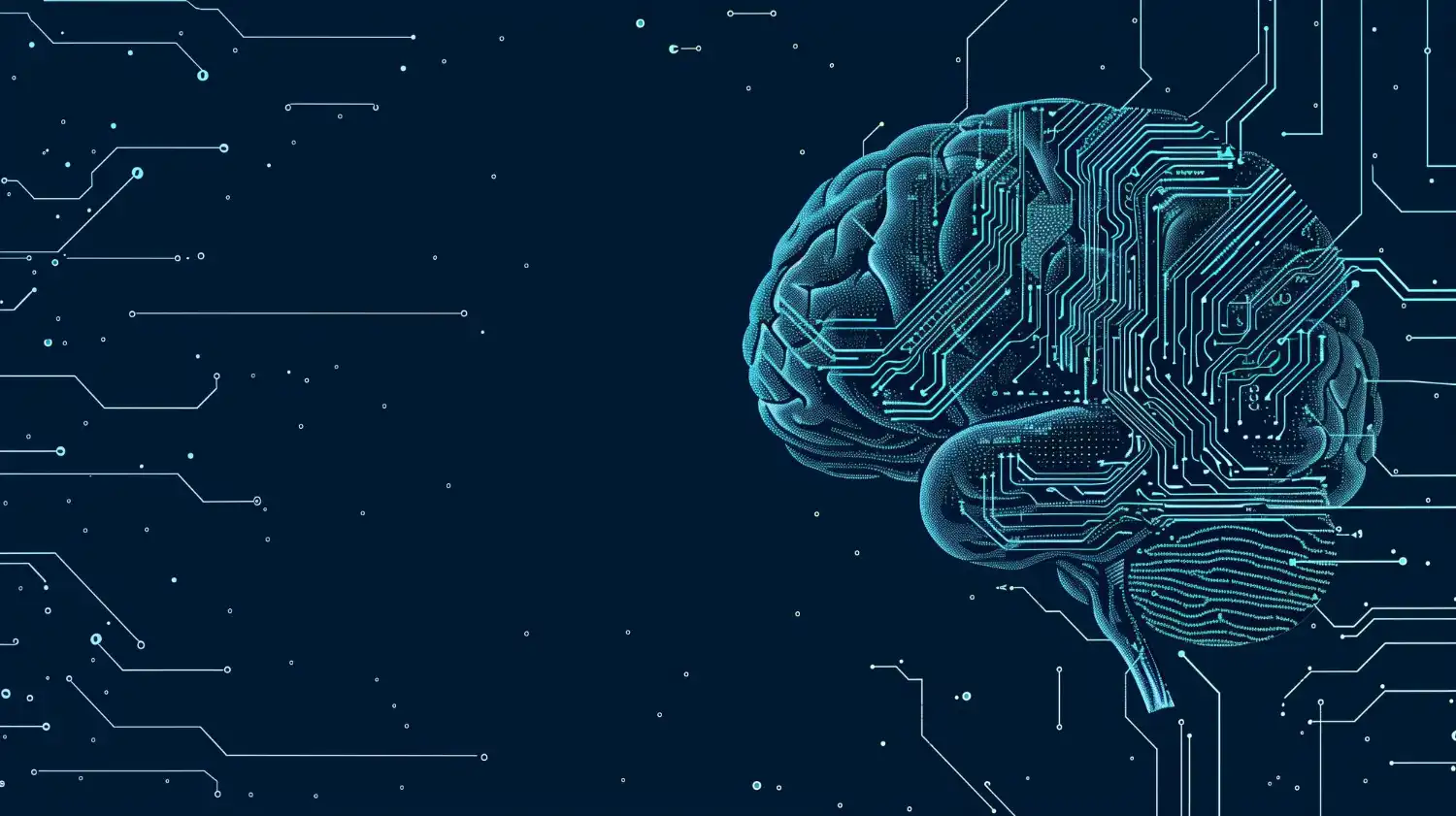 neuronetwork and brain