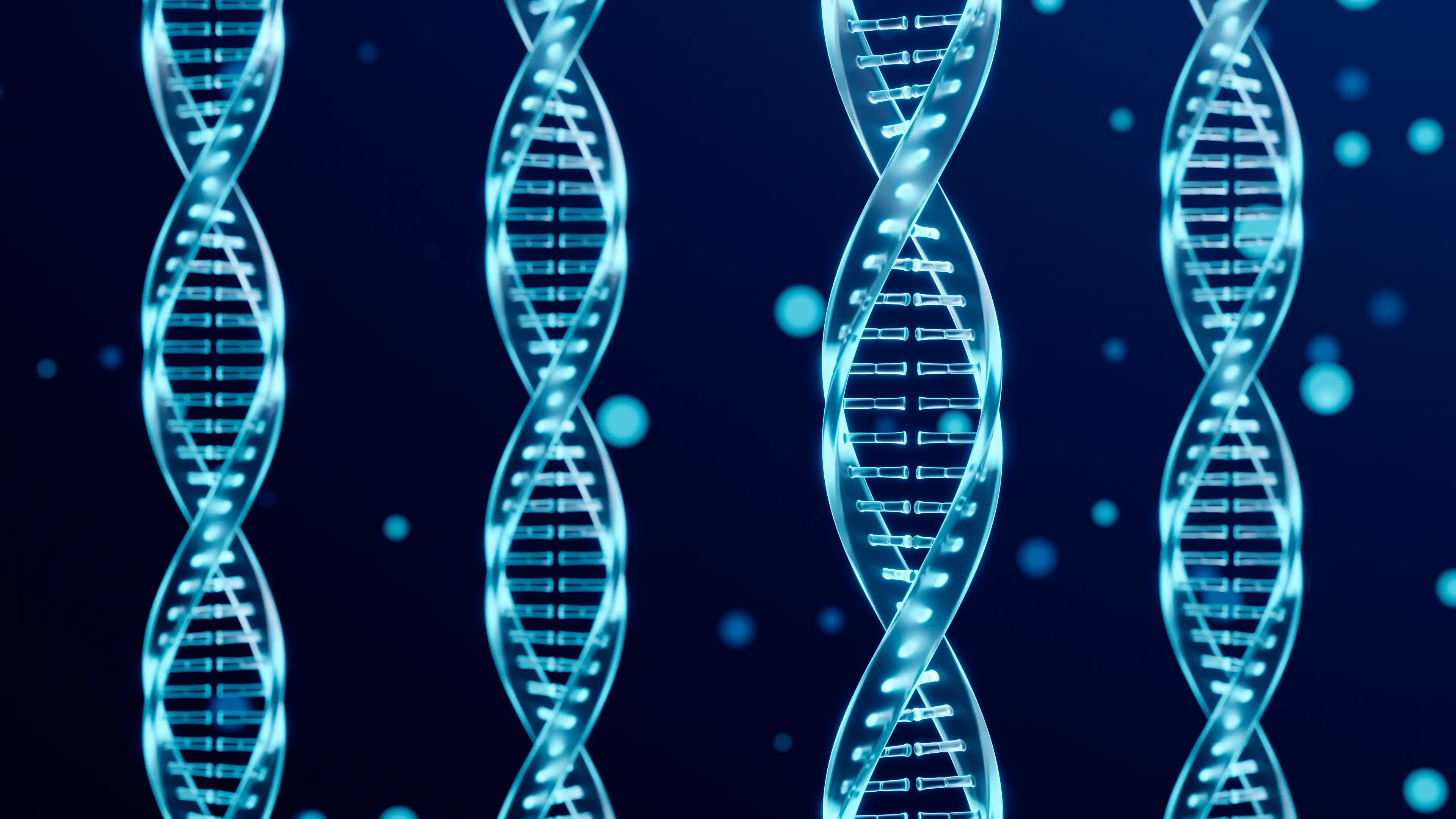 DNA strands