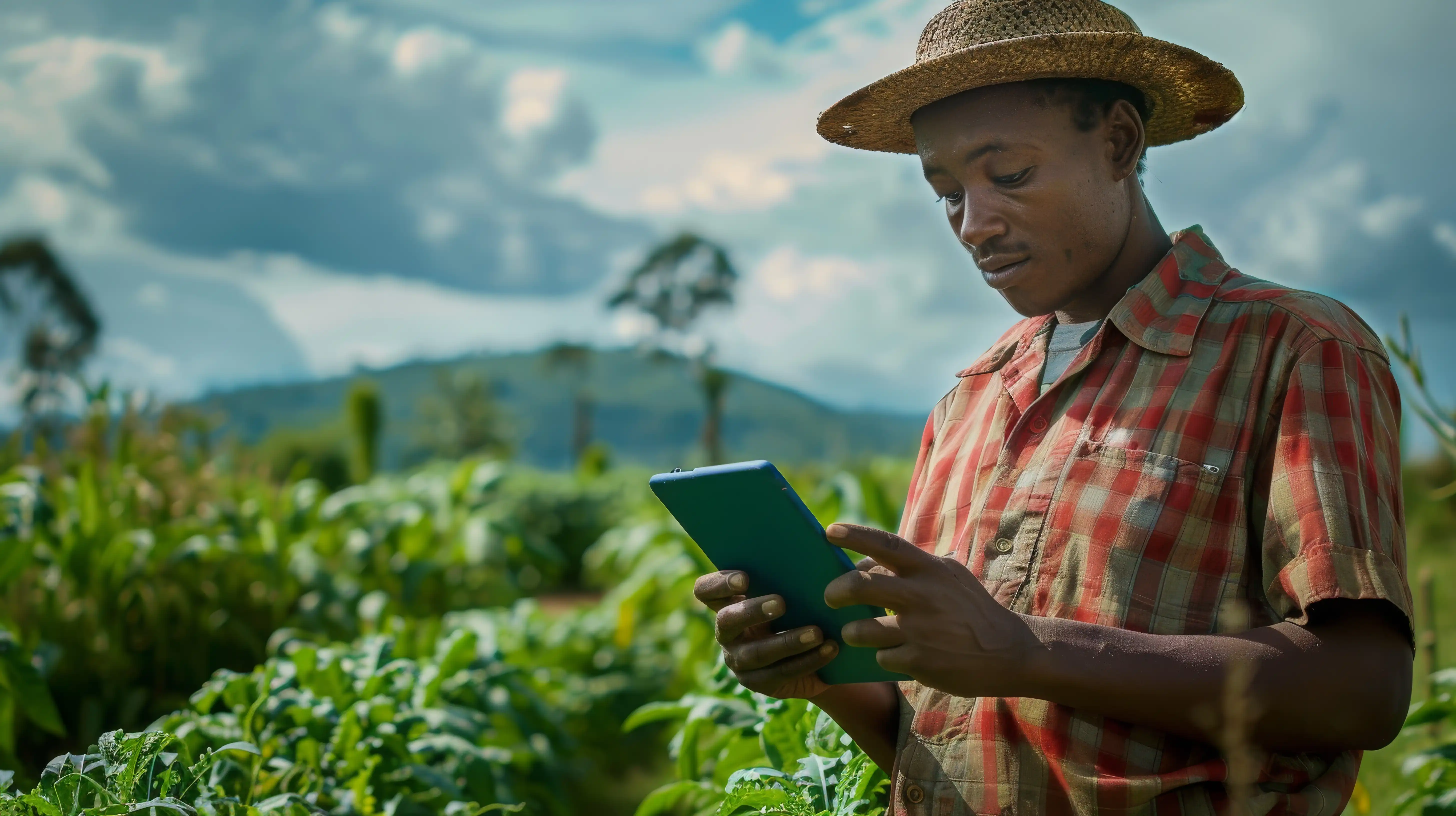 taking care of agriculture