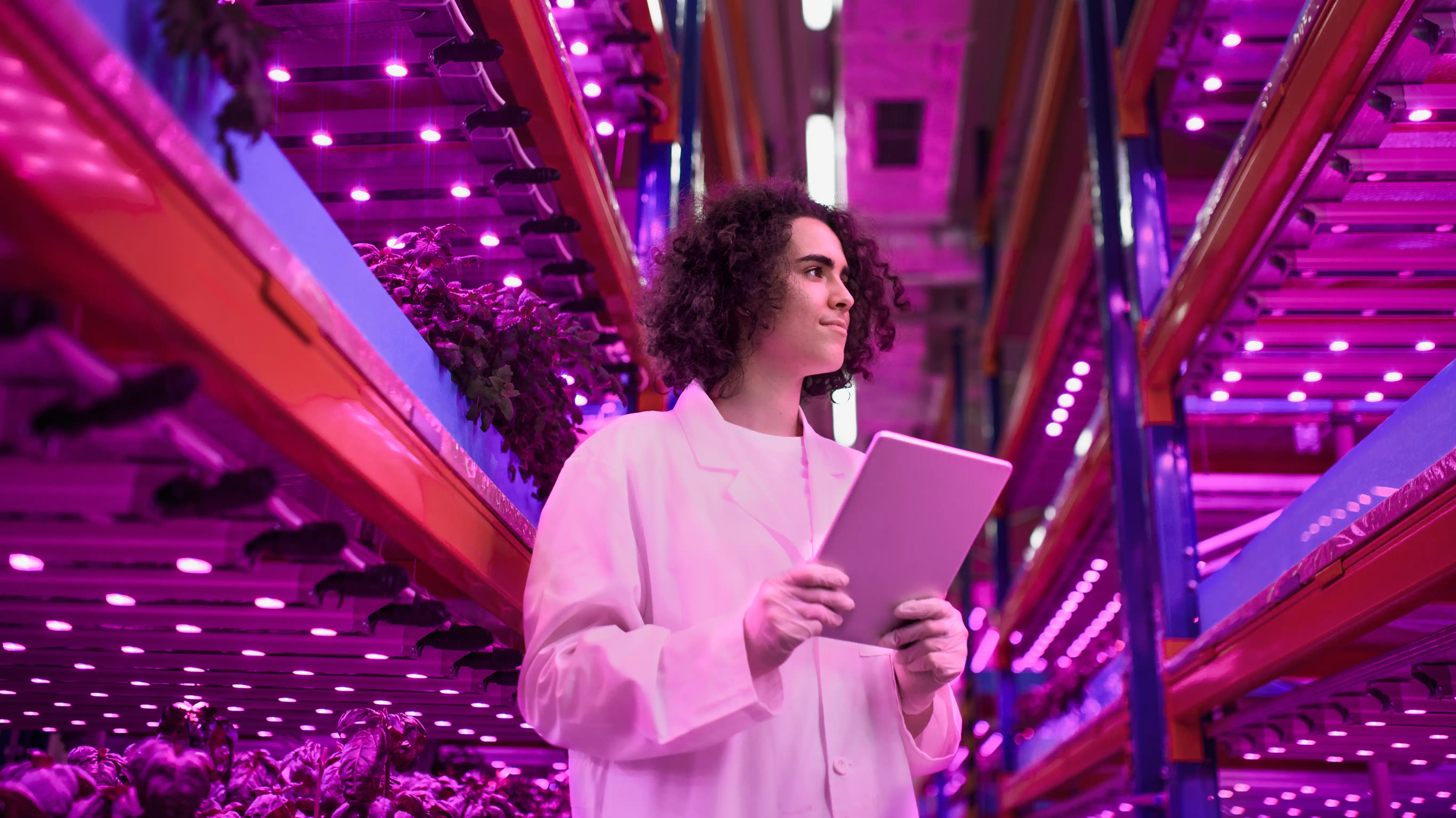 person holding a tablet