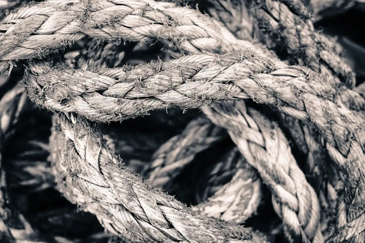 Foundational Pillars of Cyber Resilience