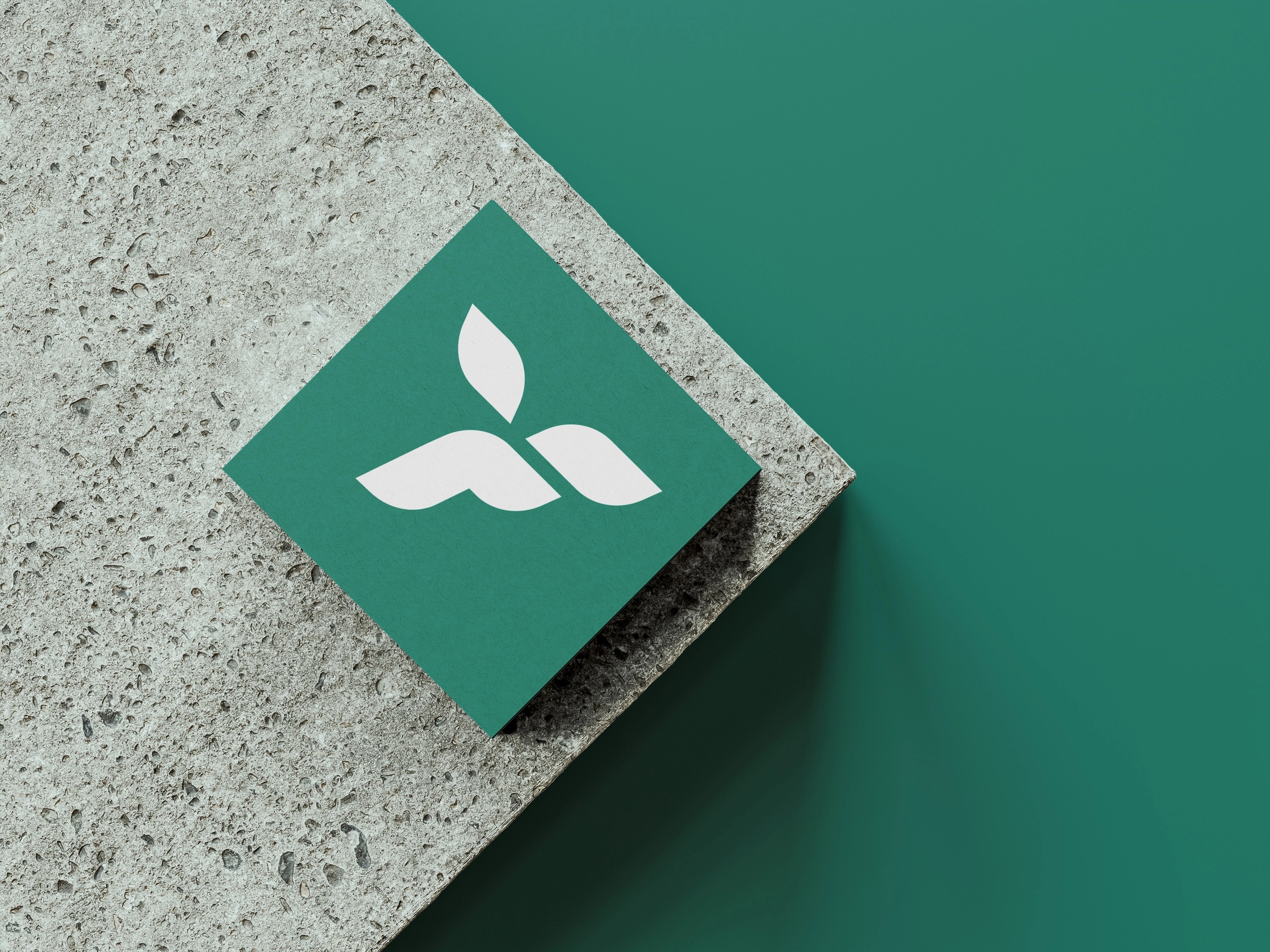 Mockup of the Tekusa Flowerpots and More Logo