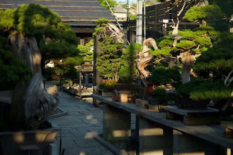 Section image: [IMAGE_3]