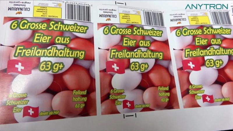 Etichette a colori per confezioni di uova svizzere da allevamento all’aperto