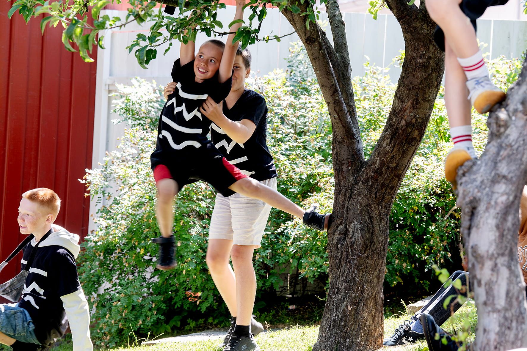 Barn som svinger i trær