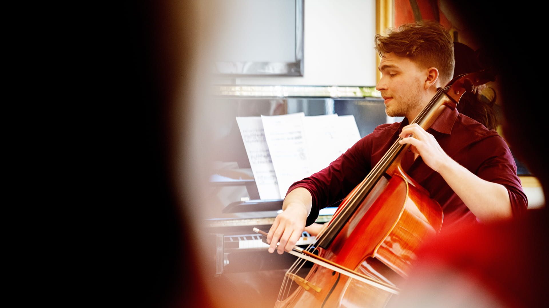 Cellist Mathias Schwaiger Pearson