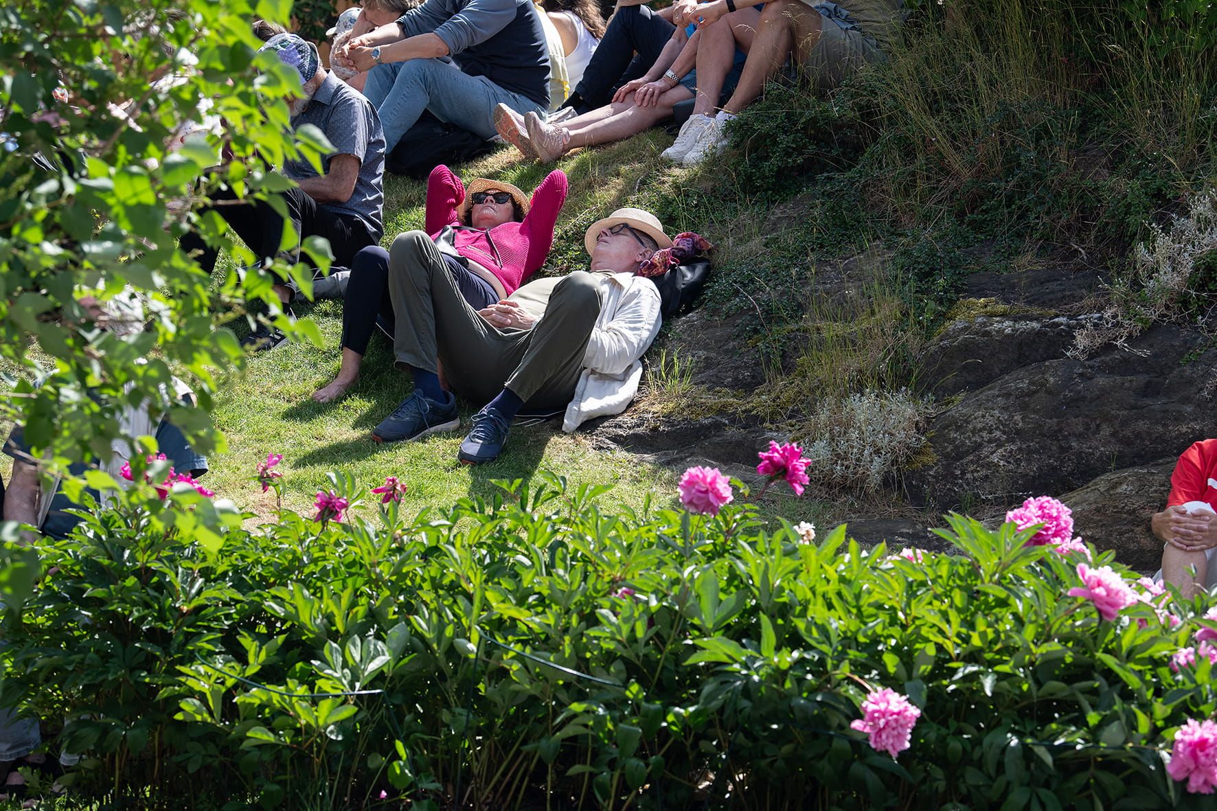 Avslappet stemning i grønt gress under konsert