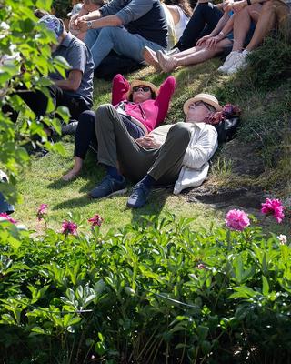 Relaxed atmosphere on the green grass during a concert