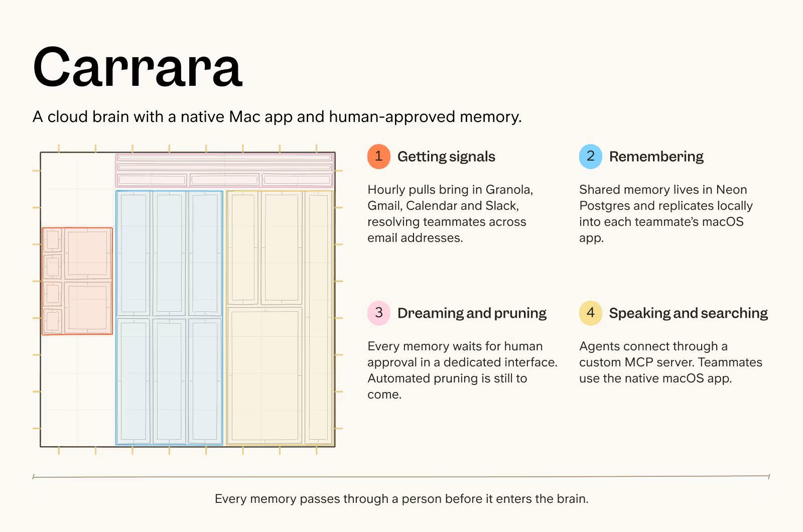 Carrara company brain overview