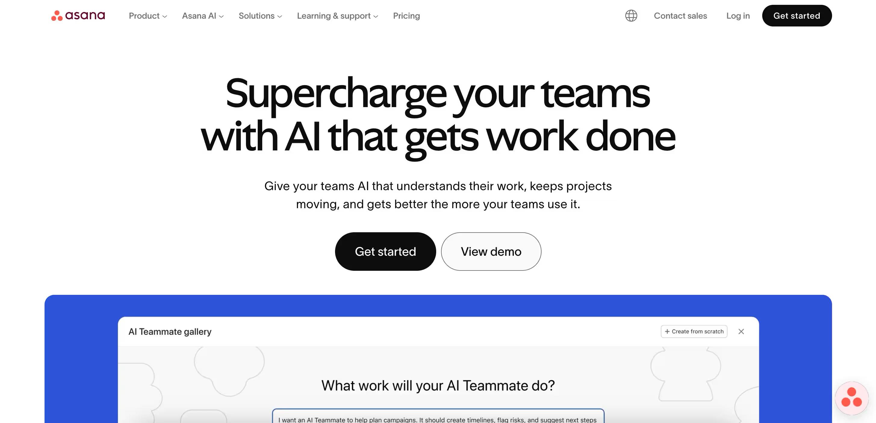 Asana project board with task list, assignees, and due dates