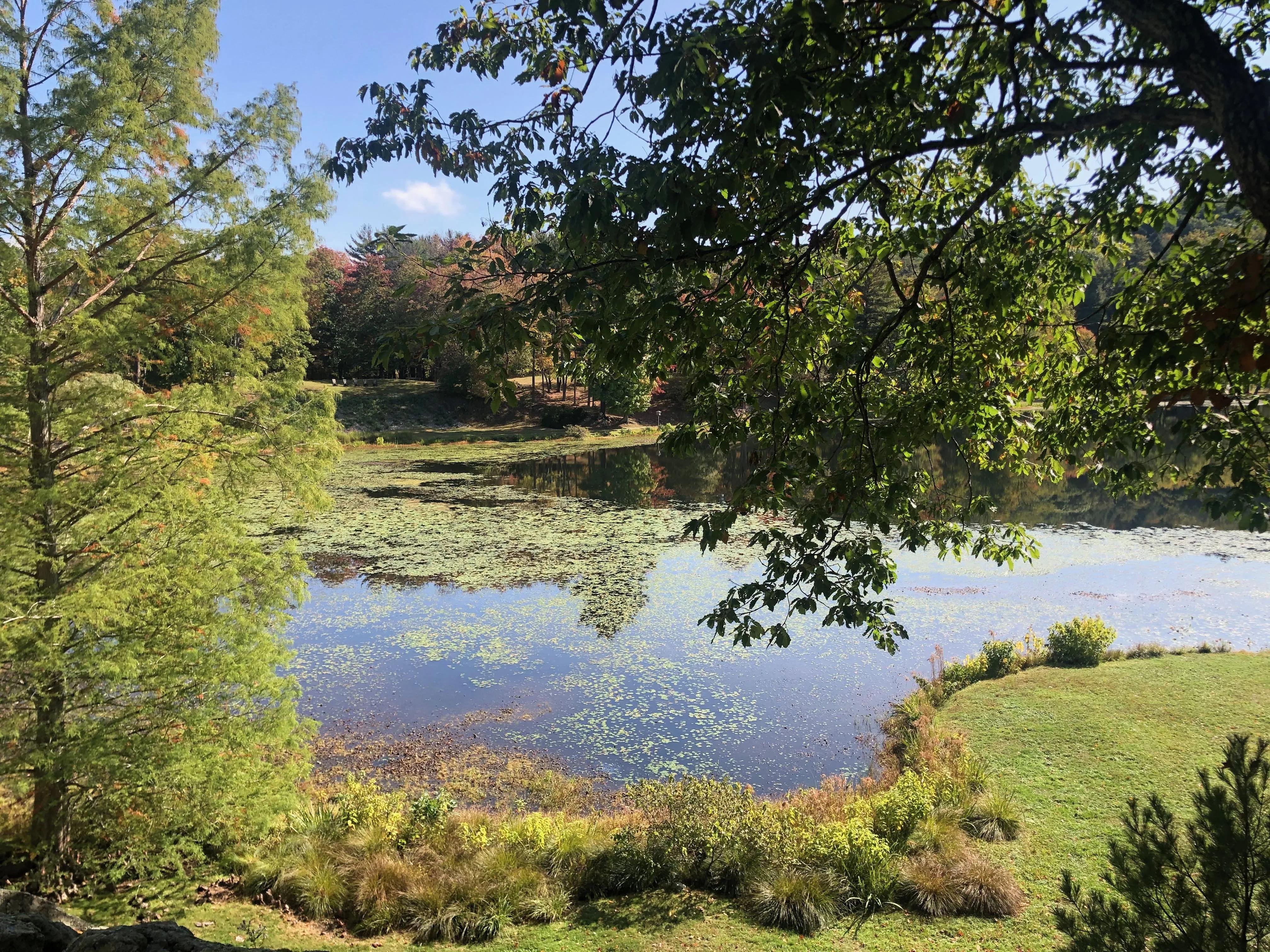 Imported image from Webflow