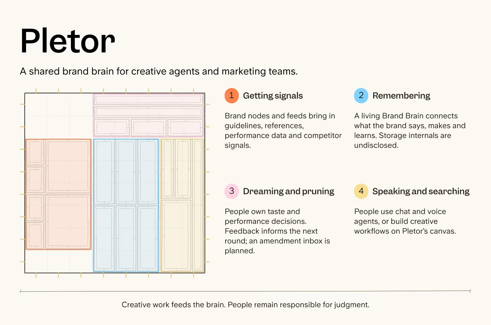 Pletor company brain overview