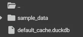 Cached Data Directory