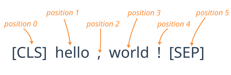 Position Embeddings