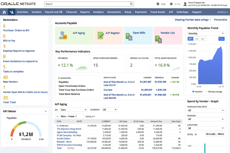 Image 7: NetSuite