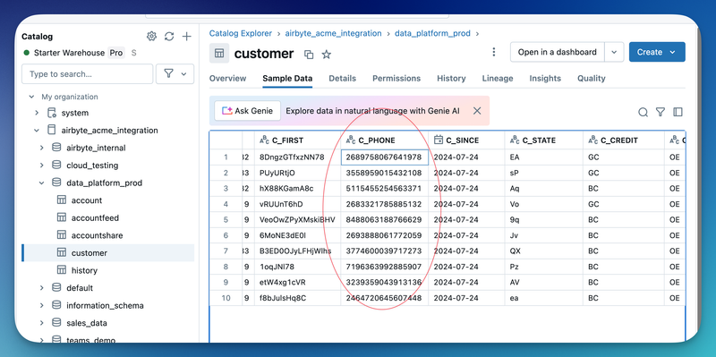 Phone Numbers Encrypted in the Destination