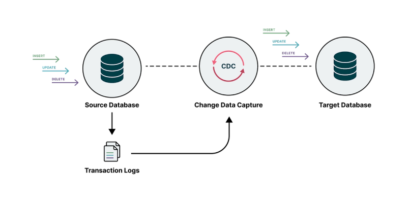 Image 3: CDC