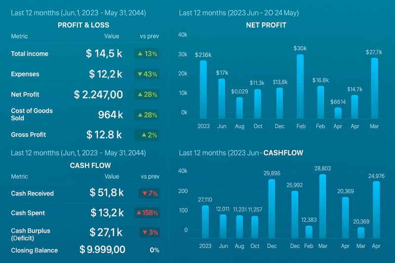 Financial Performance Report