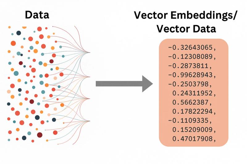 Vector embeddings