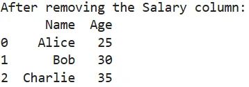 Dropping a Column from a DataFrame