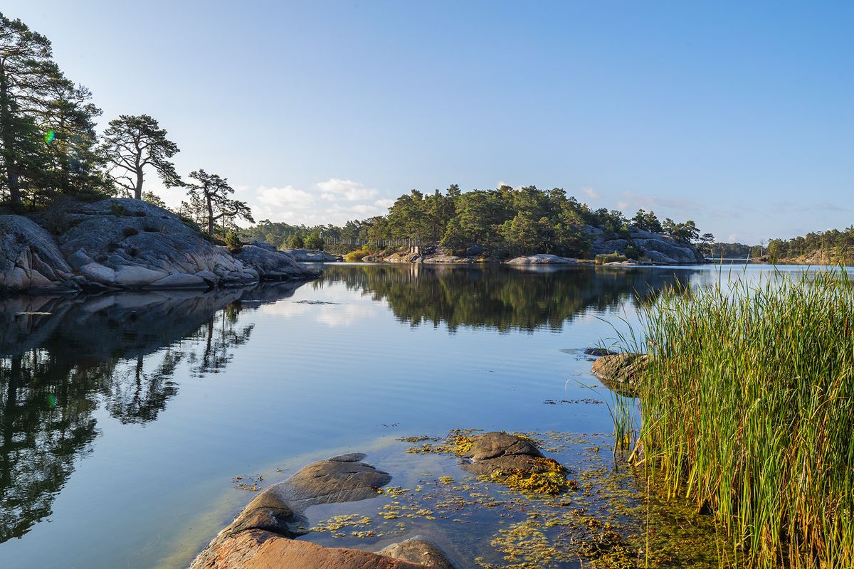 Vass och klippor mot skogöar och en hängbro i fjärran