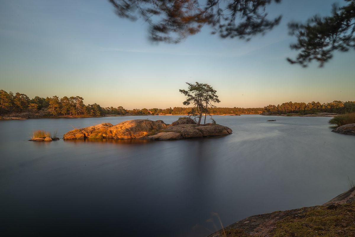 Liten klippö med två tallar i stilla vatten i varmt ljus