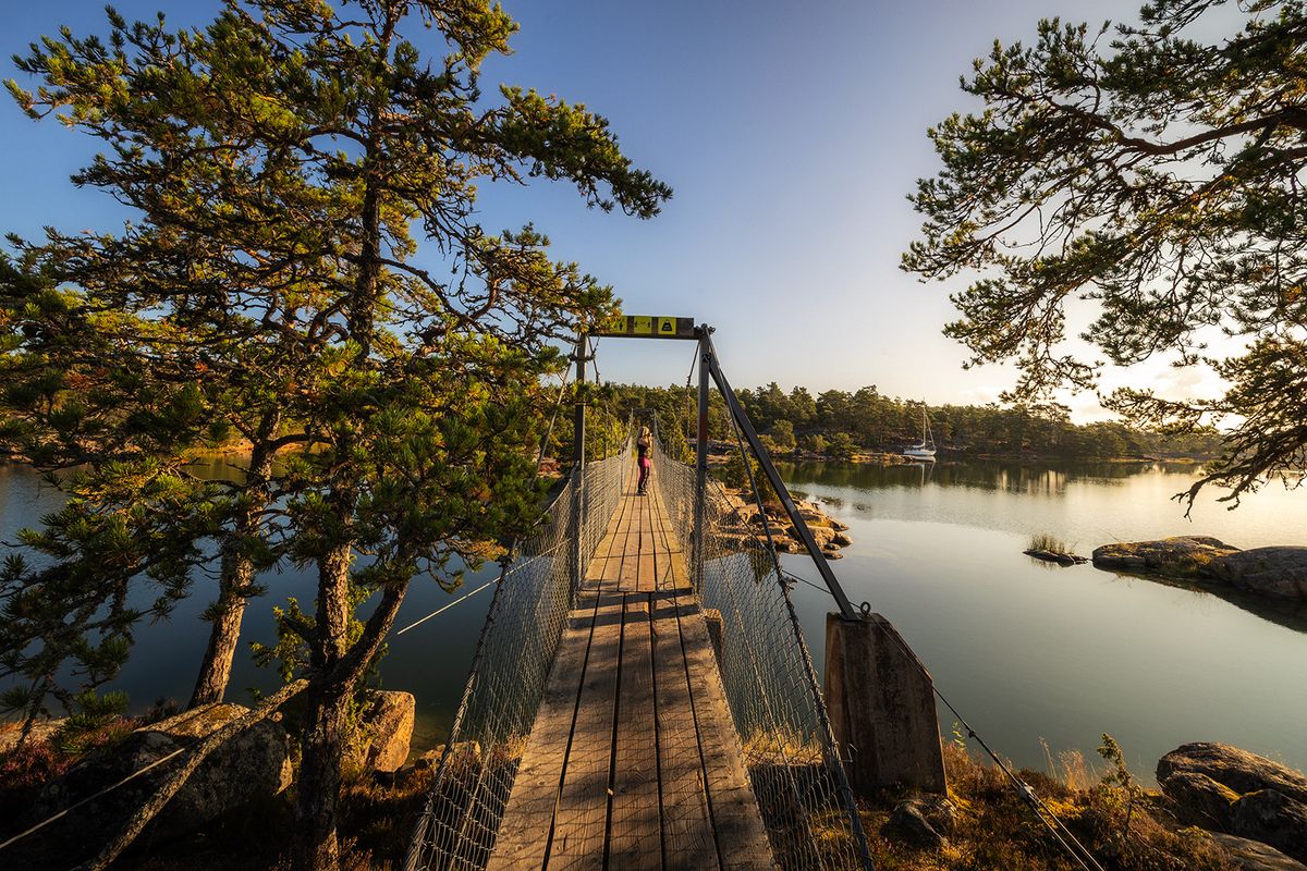 Person står på en hängbro mellan tallar över stilla vatten