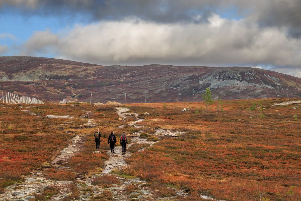 Tre kvinnliga vandrare i Grövelsjön