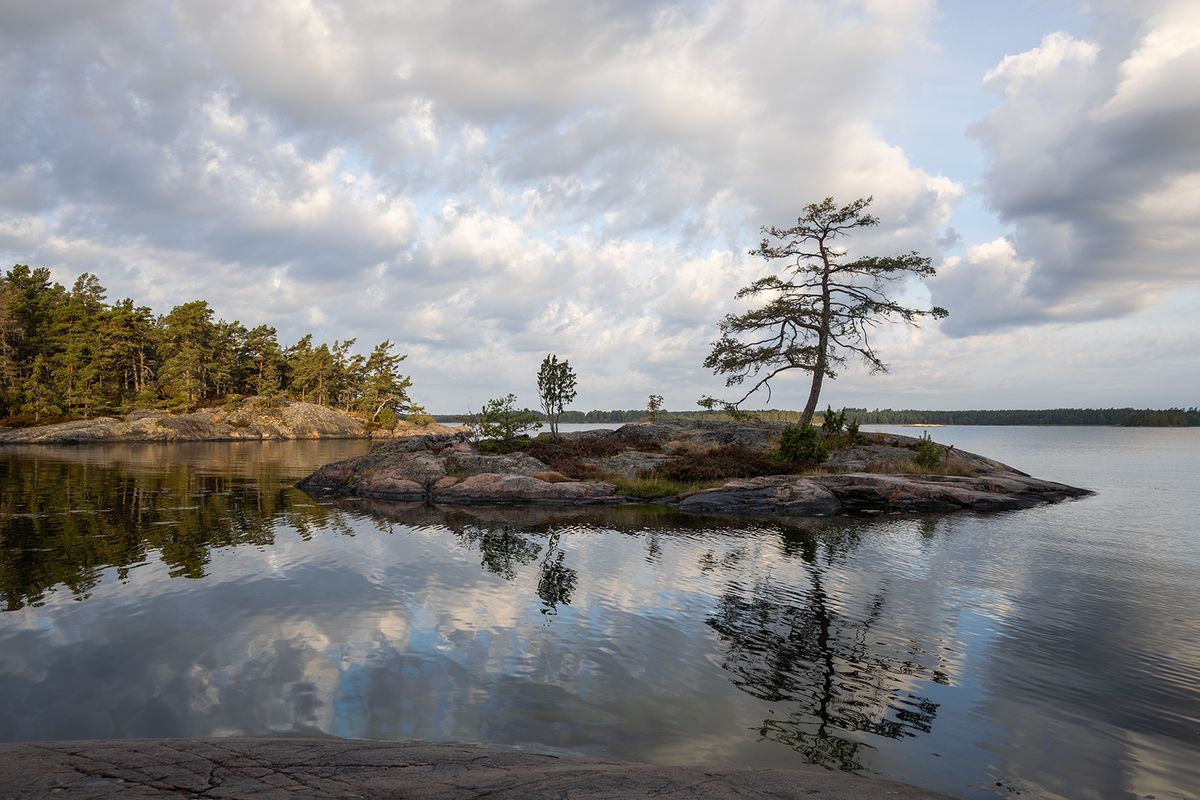 Liten klippö med ensam tall speglas i stilla vatten under moln