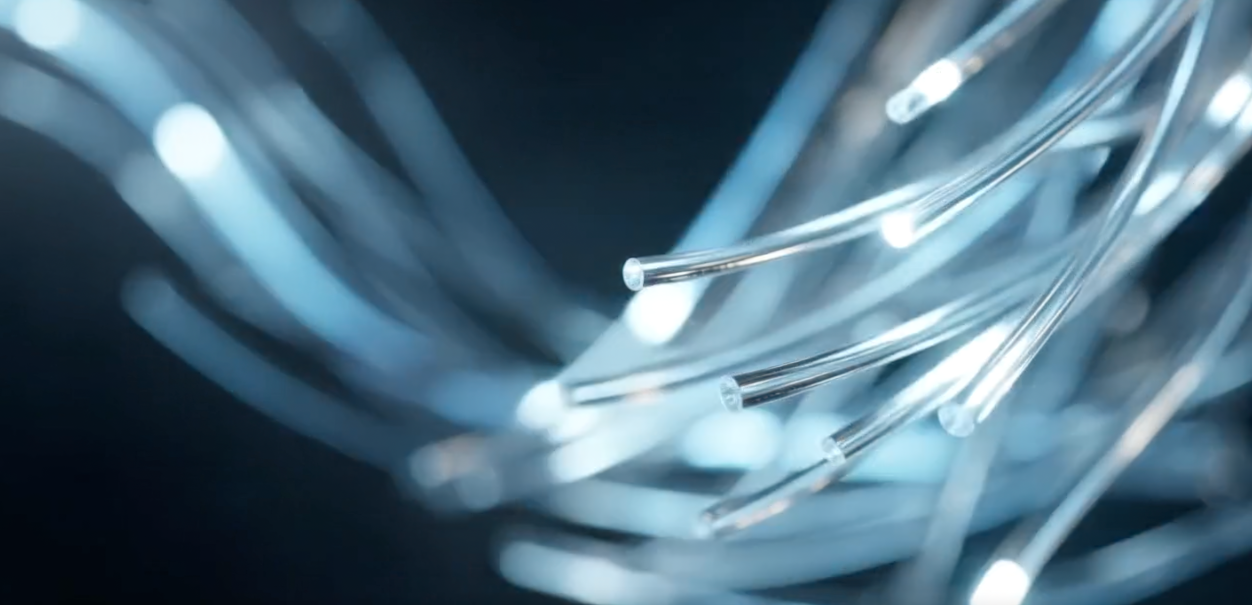 optical fiber