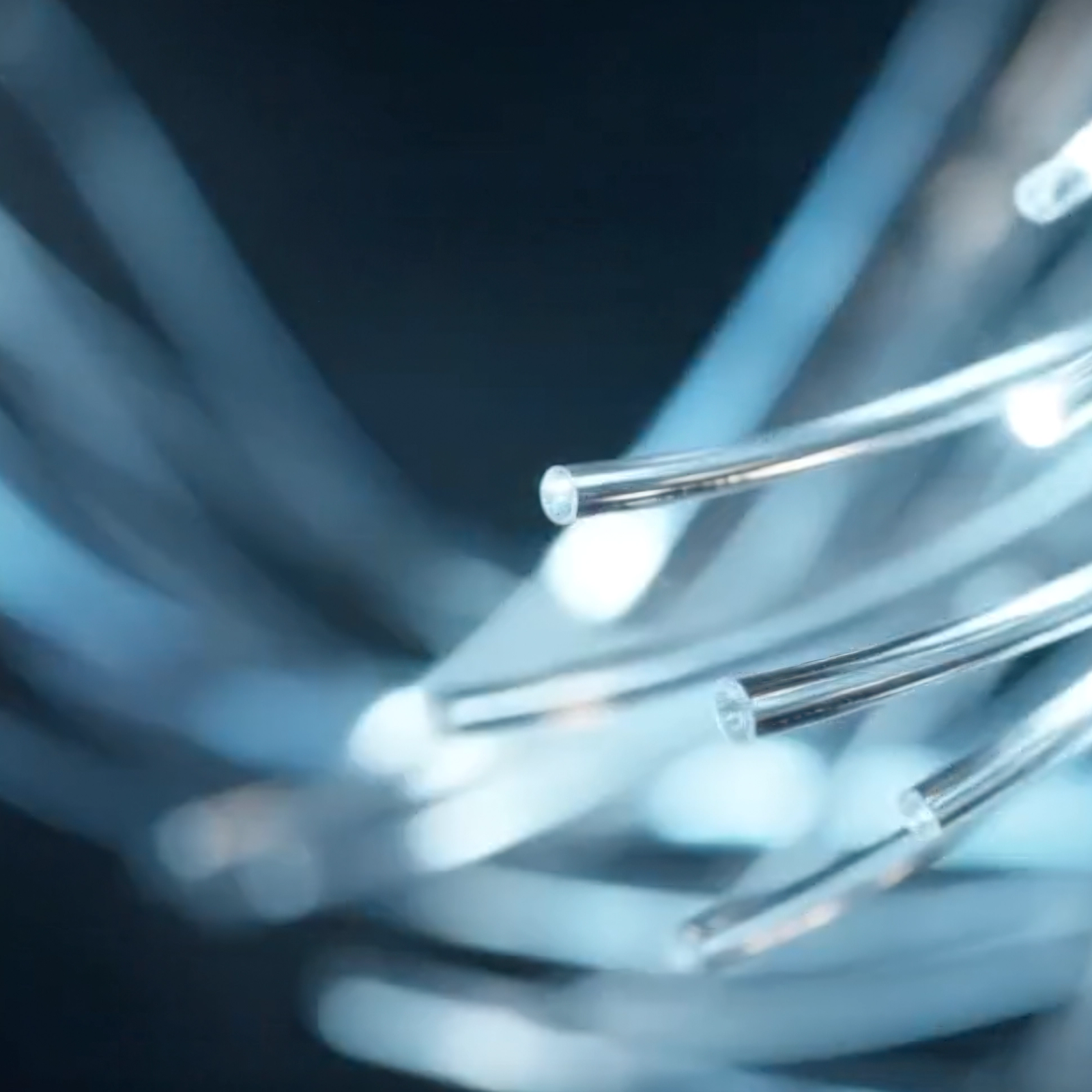 optical fiber