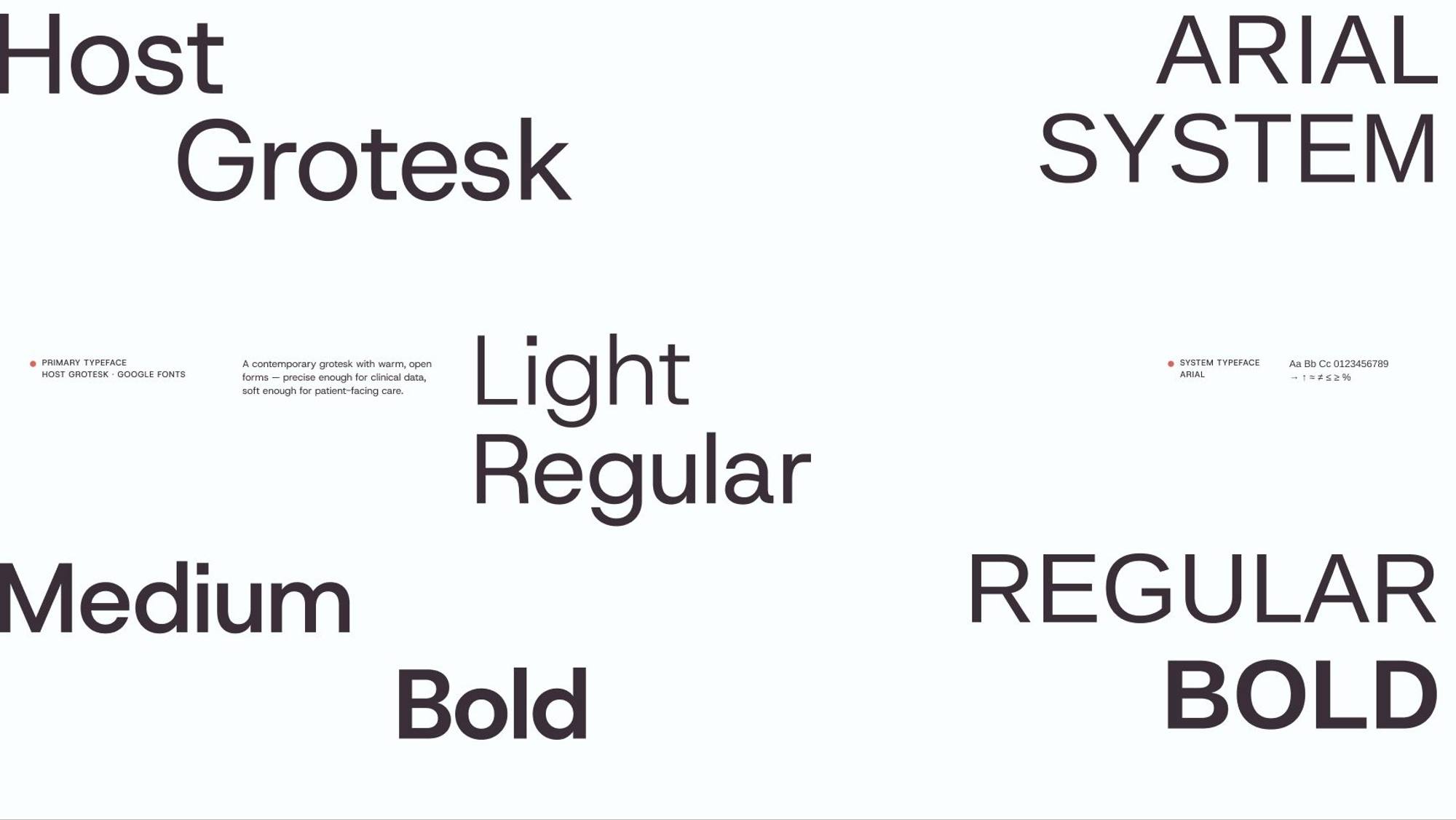 Evi Medical: 03.2 · cv06 type specimen