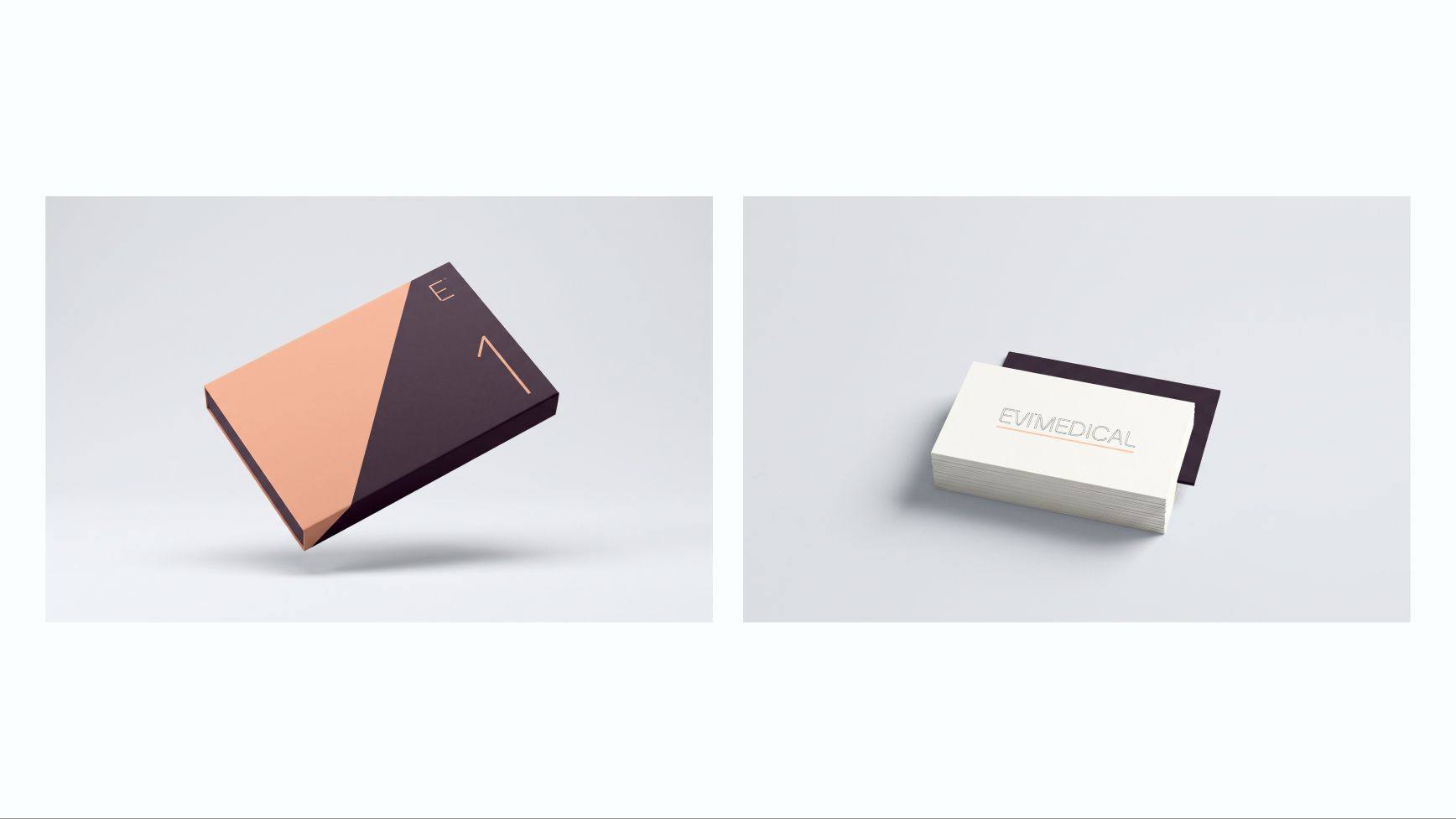 Evi Medical: 17.2 · cv23 kit box, card stack