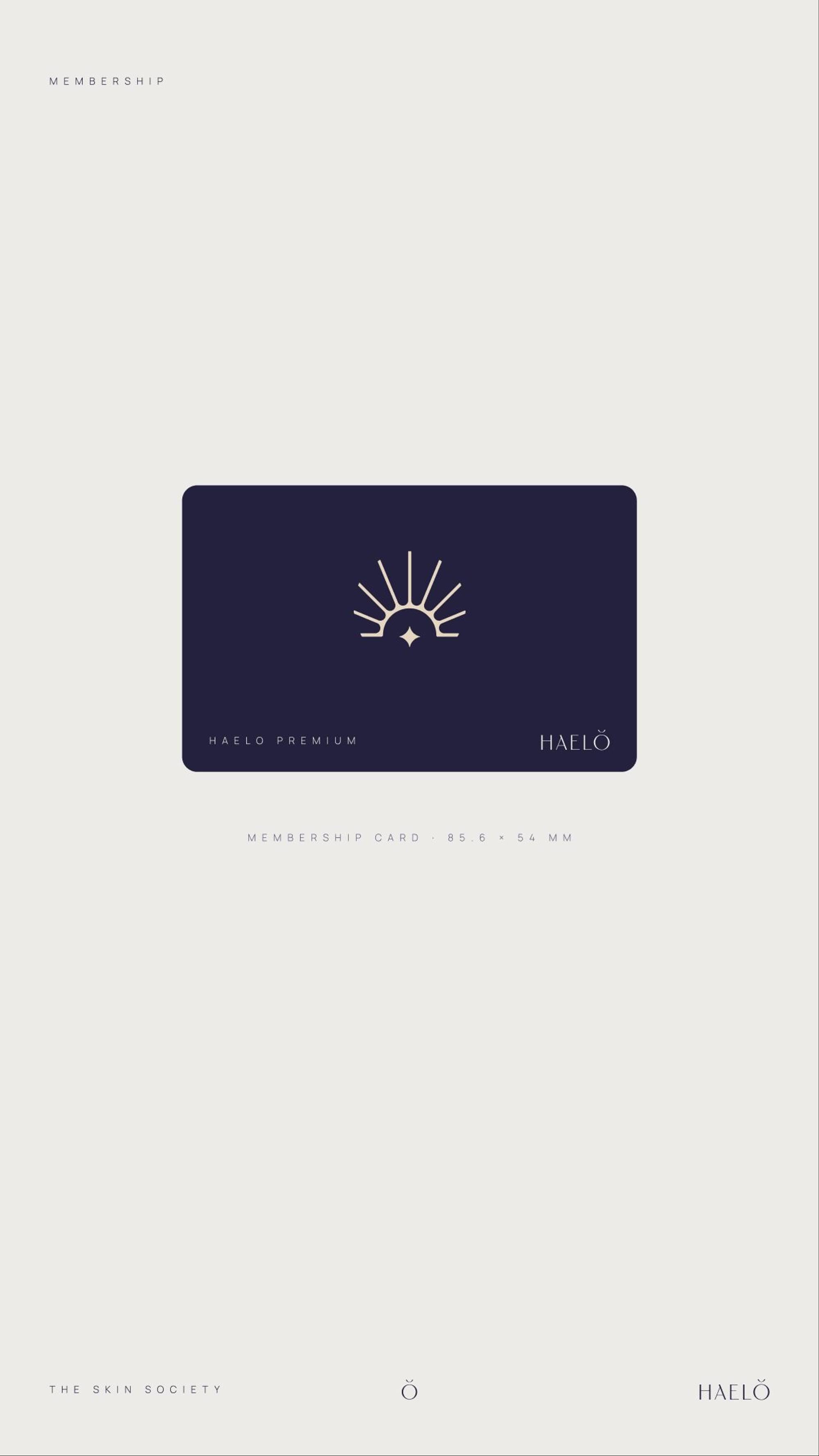 Haelo Skin: 05.3 · x15 · premium card