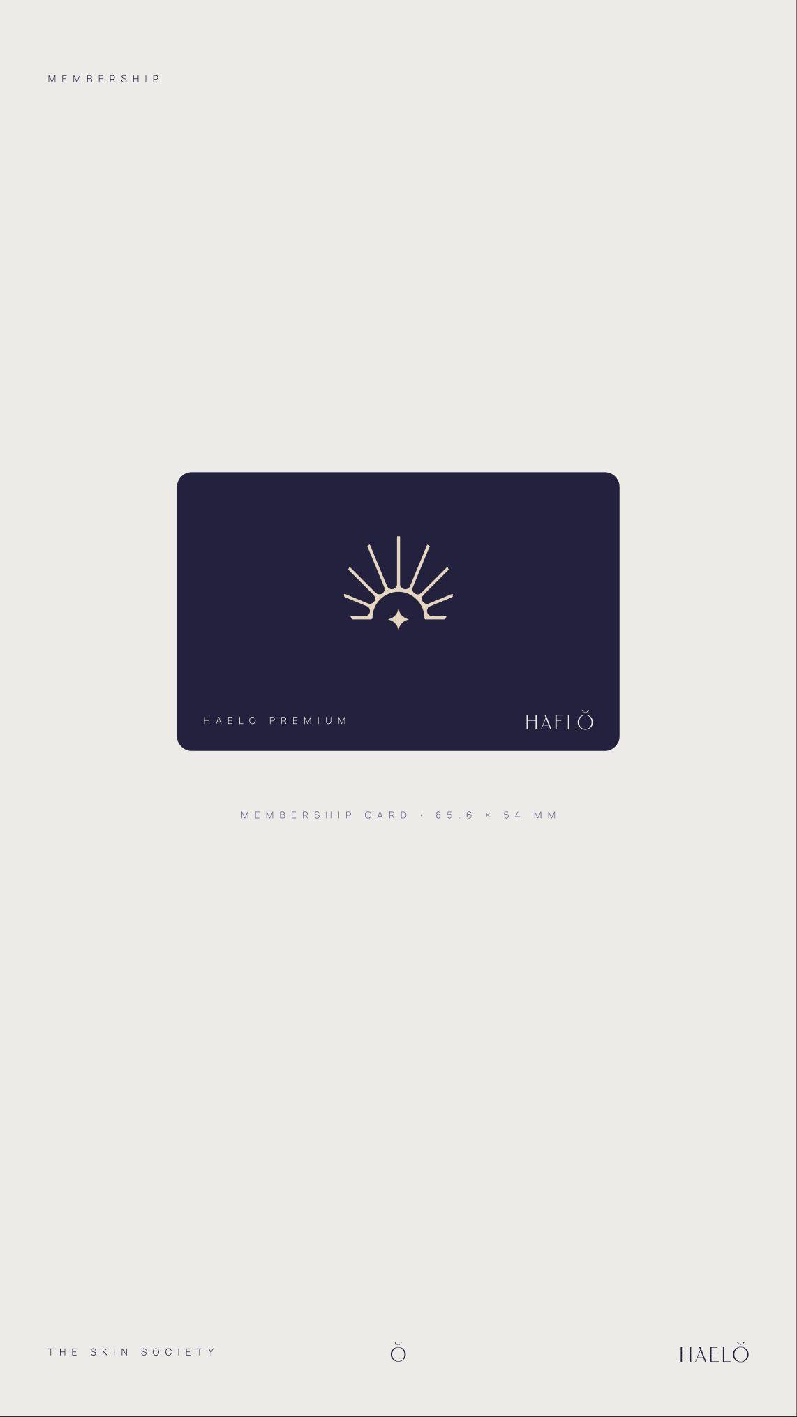 Haelo Skin: 05.3 · x15 · premium card