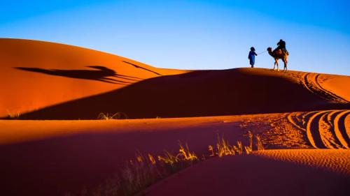 zagora 