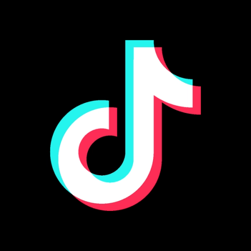 Preview of the TikTok Trends widget