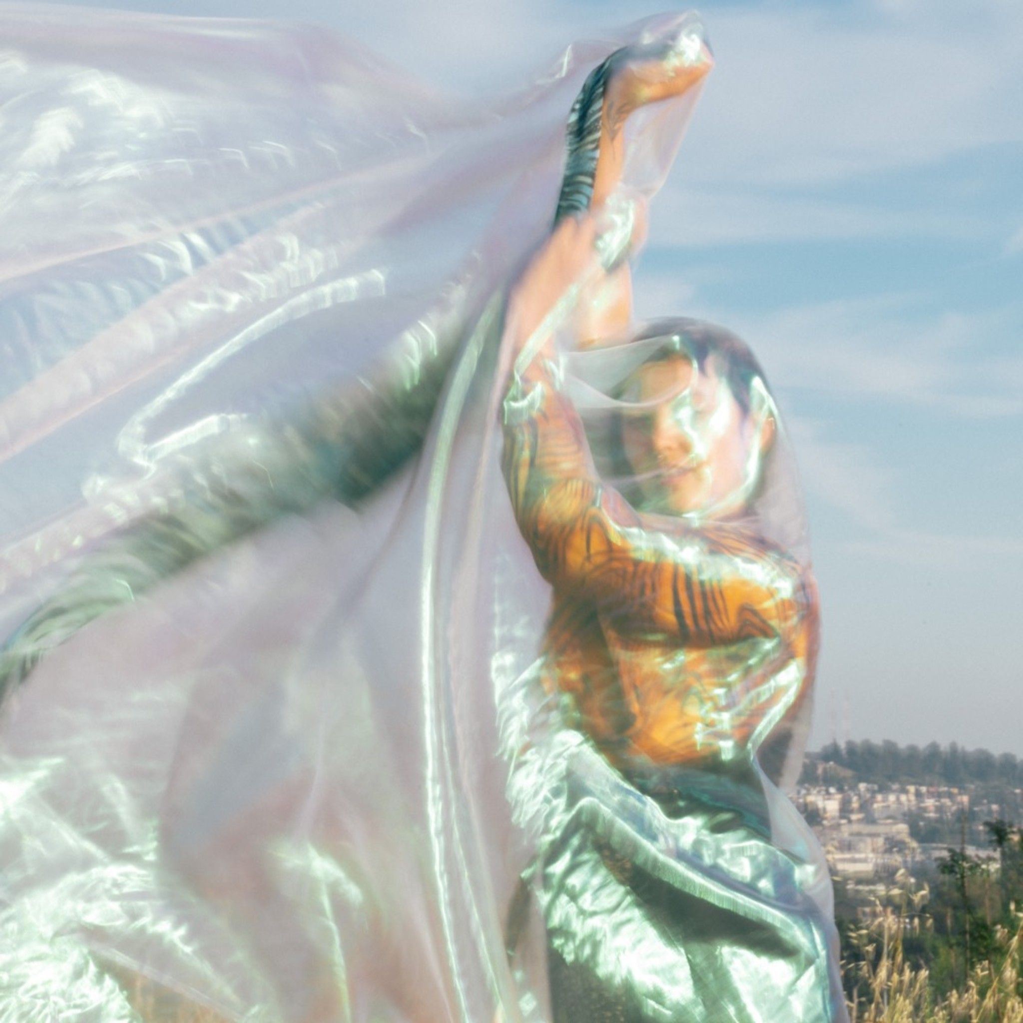 Annabelle Freedman: BRIMMING