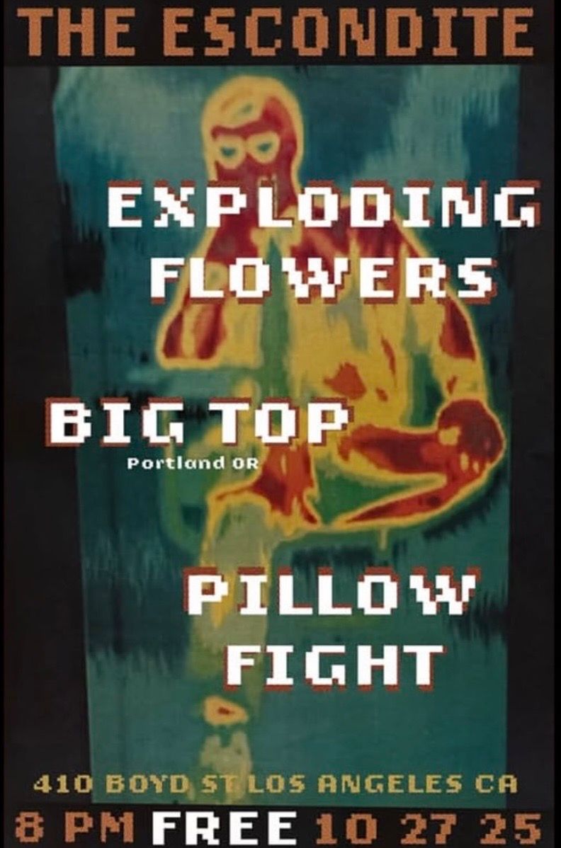 Exploding Flowers / Big Top / Pillow Fight 