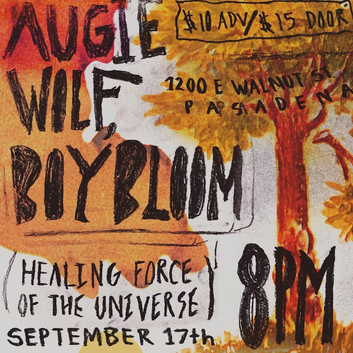 Augie Wolf / Boy Bloom